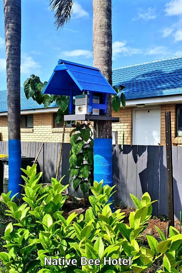 City Lights Motel Tweed Heads Eksteriør billede